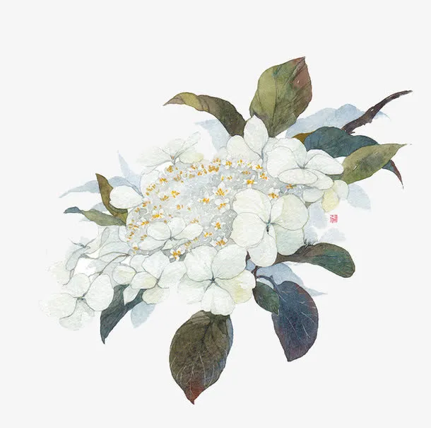 手绘花免抠