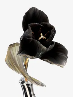 创意花草图片矢量花卉素材免抠