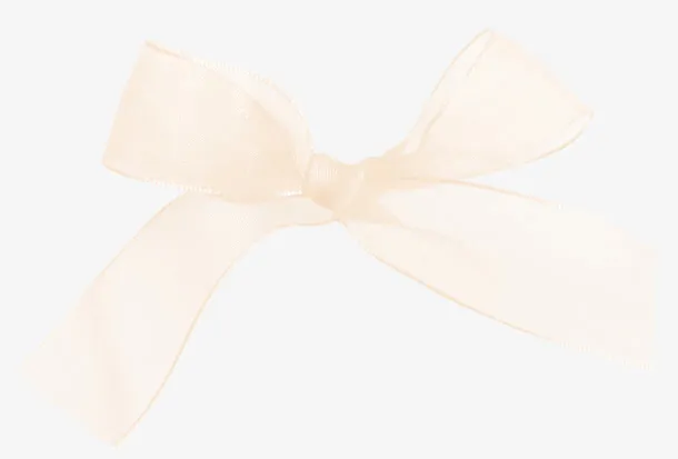 棕色漂亮蝴蝶结丝巾免抠