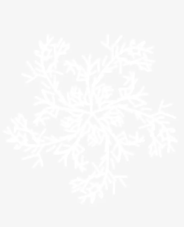 手绘圣诞装饰雪花免抠