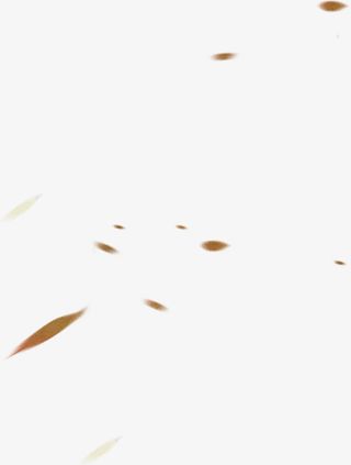 枯黄落叶免抠