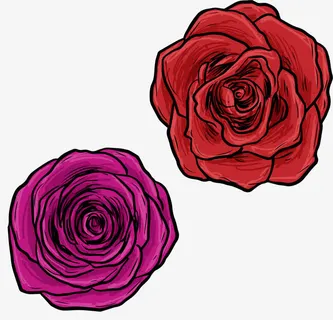 手绘水彩花卉免抠