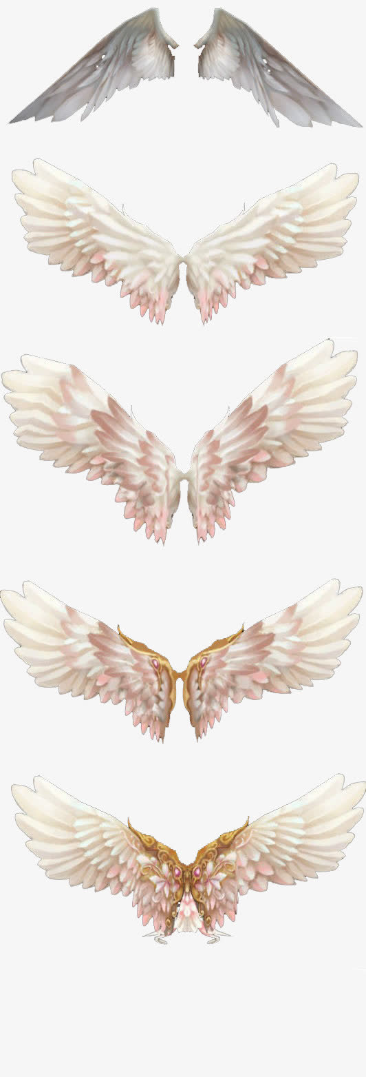 翅膀免抠