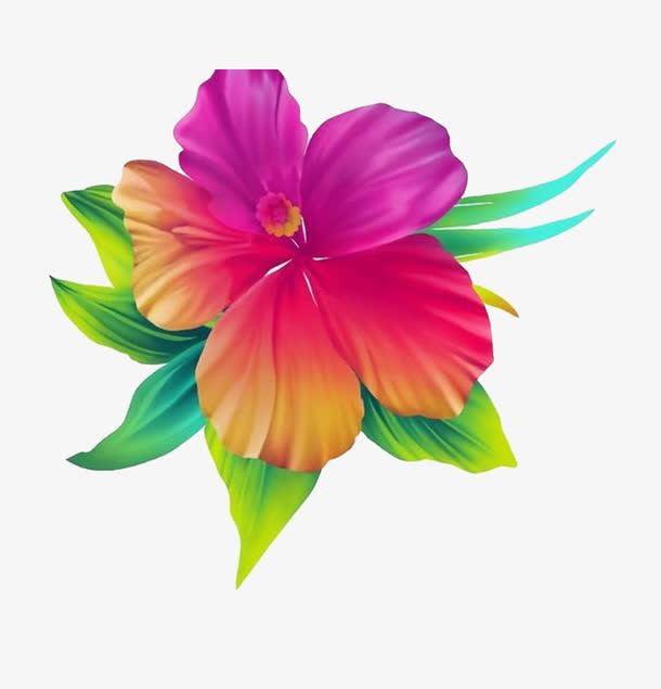 花朵免抠