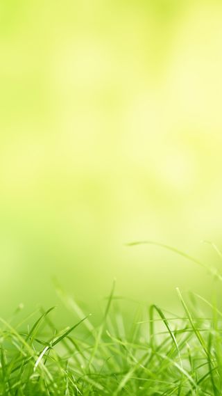 黄色底纹绿草H5背景素材高清