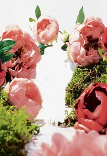 牡丹花开美景装饰免抠