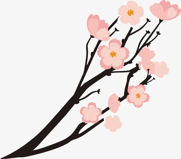 日本梅花免抠