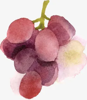 葡萄免抠
