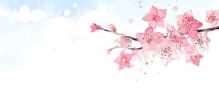 粉色桃花背景
