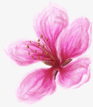 创意合成盛开的桃花设计免抠