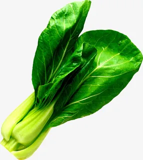 食材,果蔬,素菜,绿色,产品实物免抠 食材,果蔬,素菜,绿色,产品实物免抠