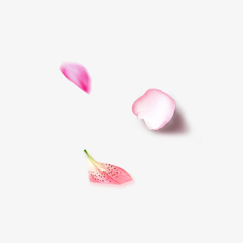 飘落唯美花瓣免抠