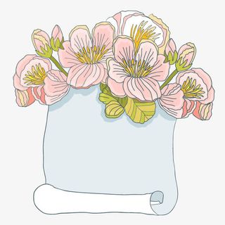 鲜花信纸免抠