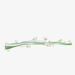 开花的藤蔓免抠