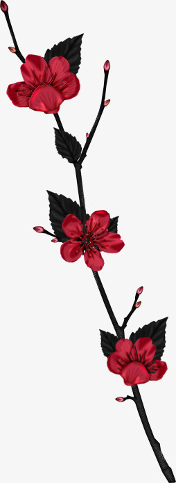 漂亮花枝免抠