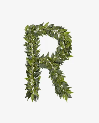 绿叶字母r免抠