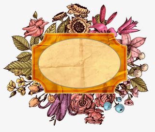 彩色花朵插画背景