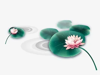 中国风荷花免抠手绘/卡通卡通元素