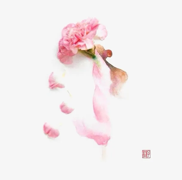 飘浮花瓣免抠