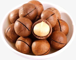 夏威夷果亚素材免抠