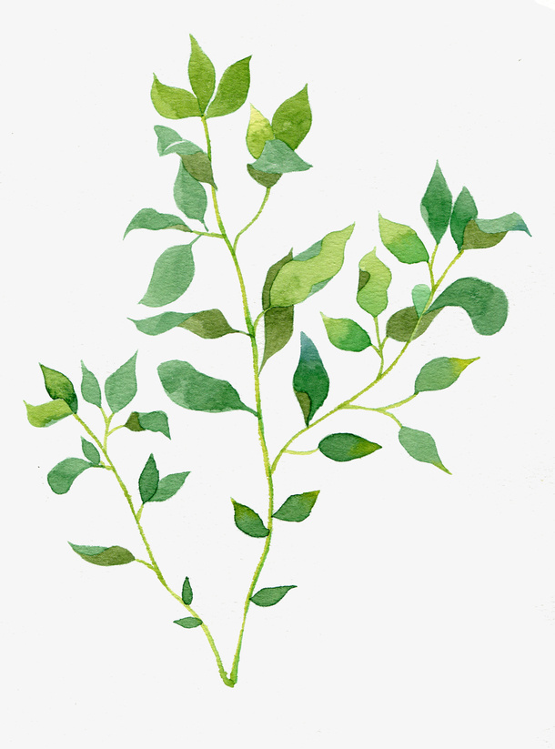 清新小花卡通插画28免抠其他元素