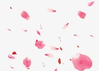 漂浮花瓣免抠