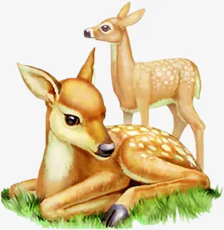 小鹿躺着梅花鹿免抠