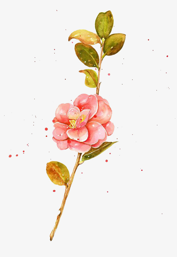 卡通鲜花免抠