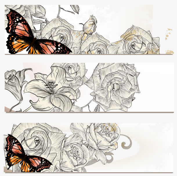 古典植物BANNERS矢量素材免抠