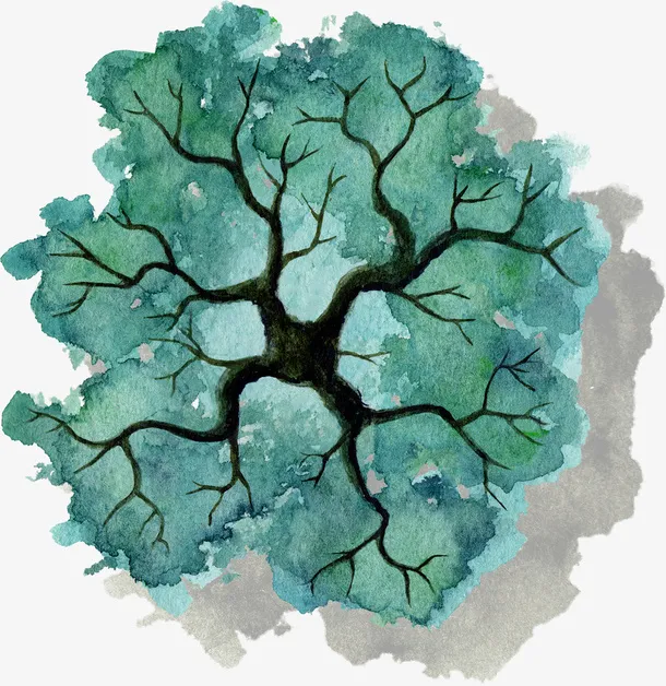 蓝绿色树干树木水彩风手绘带投影免抠