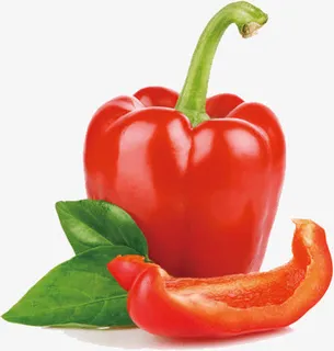 红色柿子椒免抠