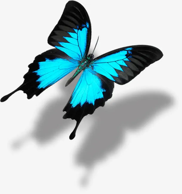 蓝色梦幻蝴蝶创意免抠
