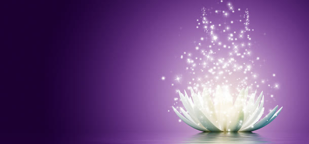 紫色花海背景免抠