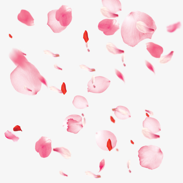 古风飘落花瓣2免抠