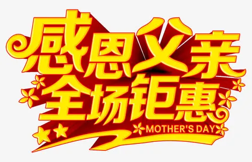 矢量感恩父亲全城钜惠立体字免抠
