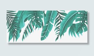 手绘热带芭蕉龟背叶边框免抠