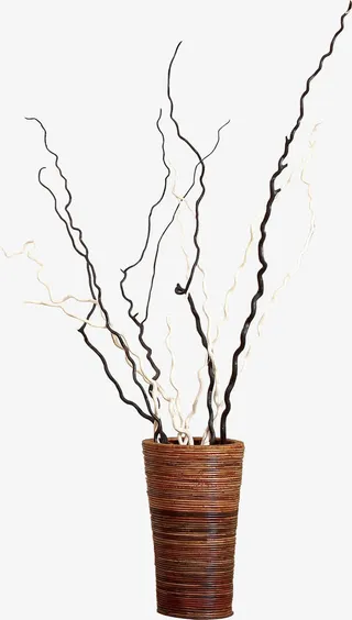 黑色树枝室内装饰免抠