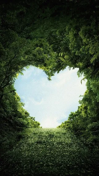 绿色爱心通道H5背景高清