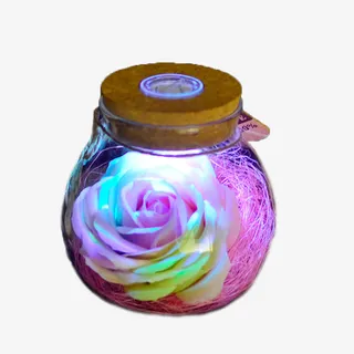 七彩灯光软塞心愿瓶免抠