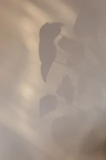 光影,复古,影子,魅力高清 光影,复古,影子,魅力高清