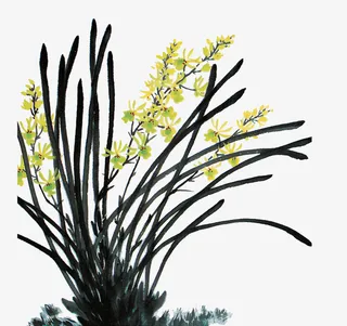 水墨植物免抠