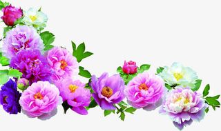 中秋国庆彩色花朵免抠