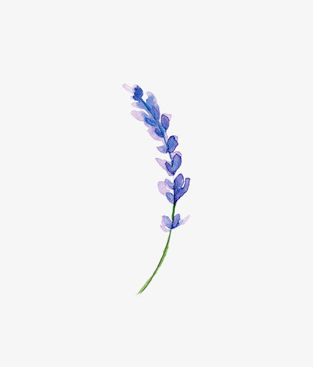 圣诞节手绘花纹素材免抠