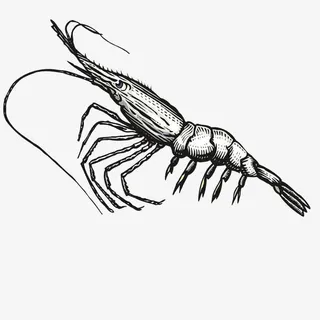 水平画幅小龙虾免抠png免抠