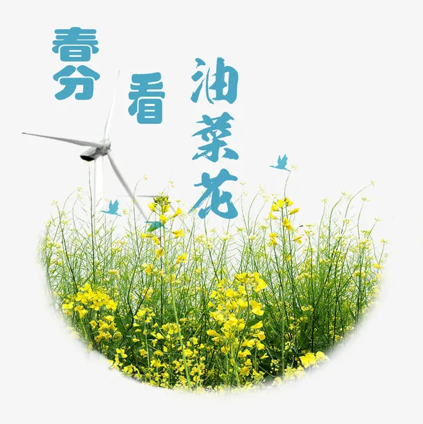 二十四节气之春分看油菜花主题免抠动植物植物元素