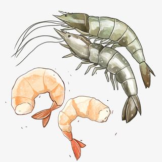 手绘海鲜大虾免抠