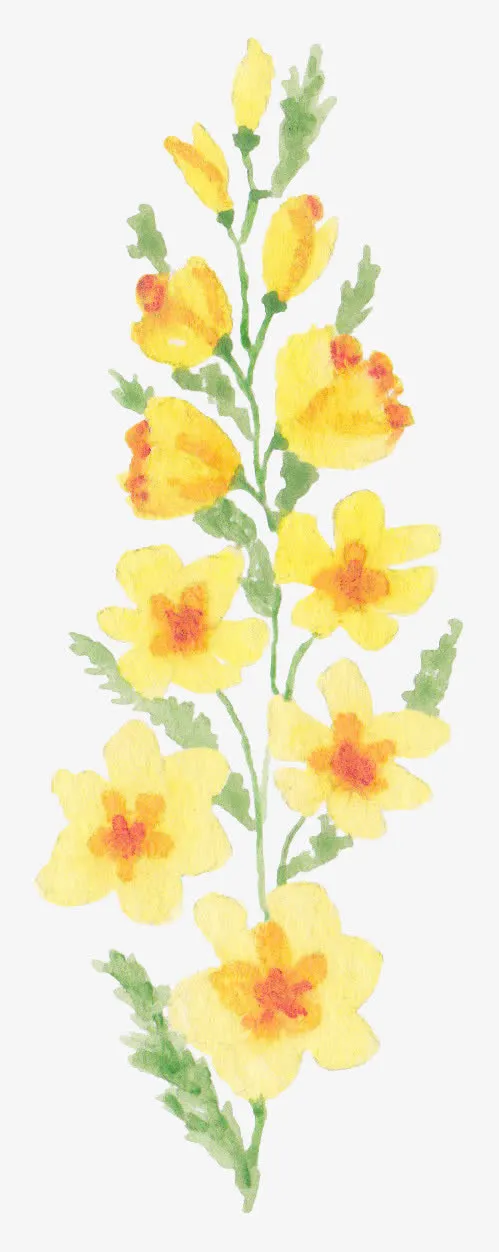 手绘黄色玫瑰花免抠