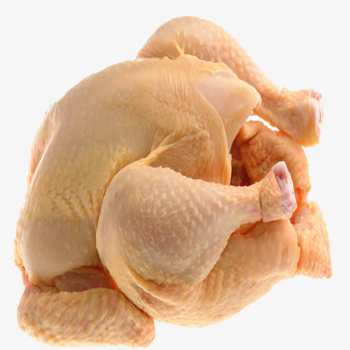 白条鸡肉免抠