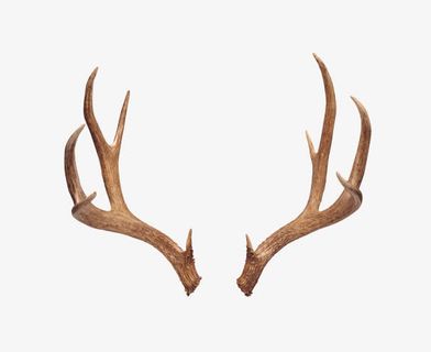 可爱的鹿角免抠