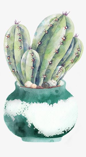 手绘水彩盆栽仙人掌免抠